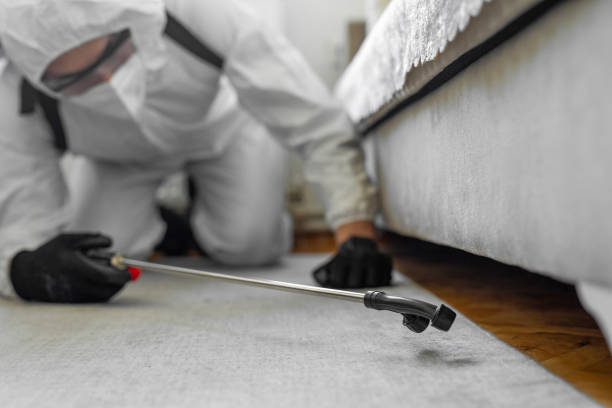 Professional Pest Control technician working in Pondera County County, MT